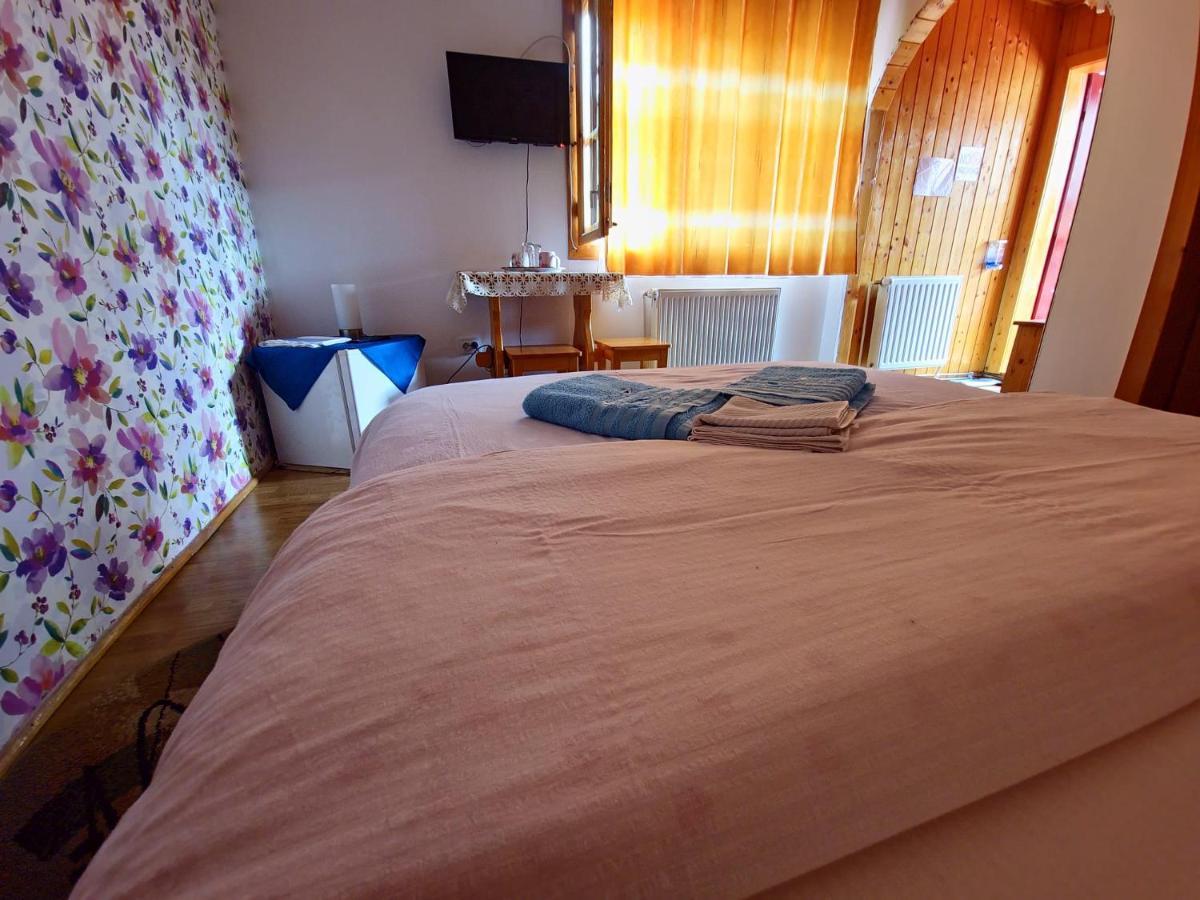 Hotel Casa Lav à Sinaia Extérieur photo